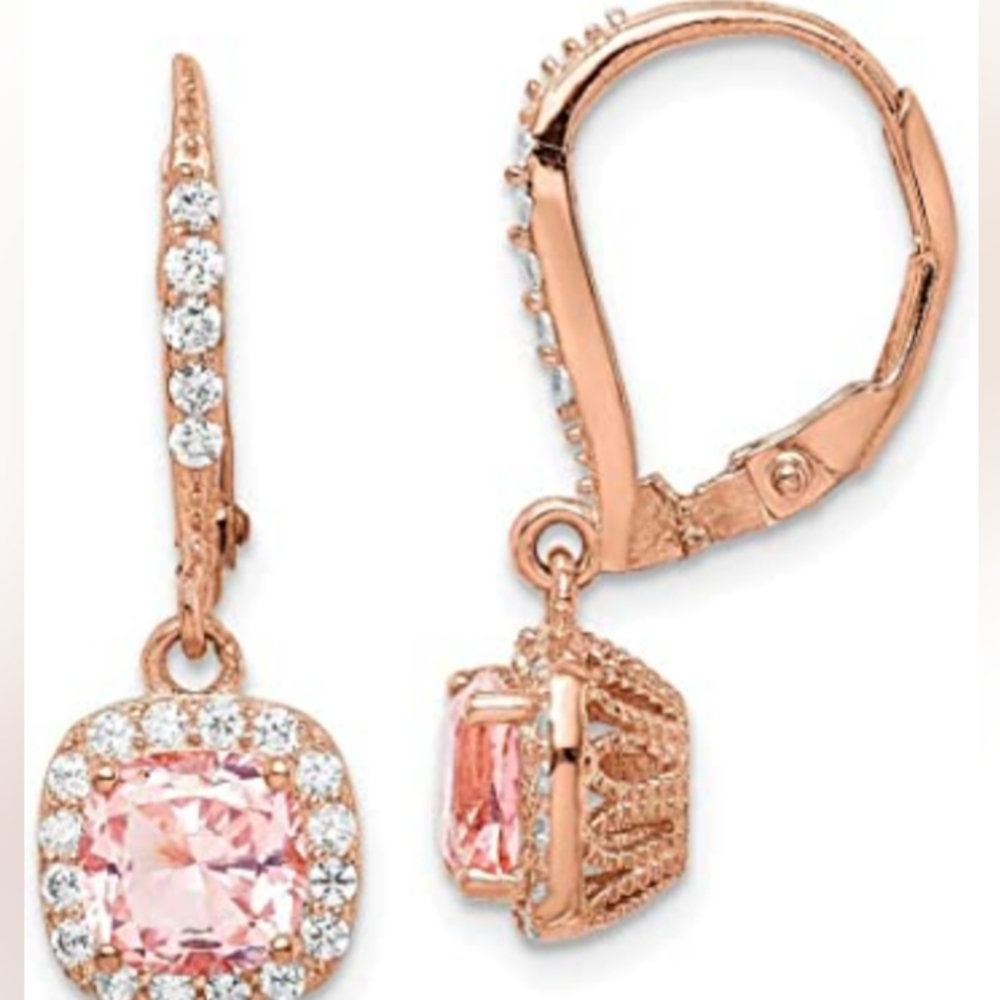 Rose gold Silver Earrings
